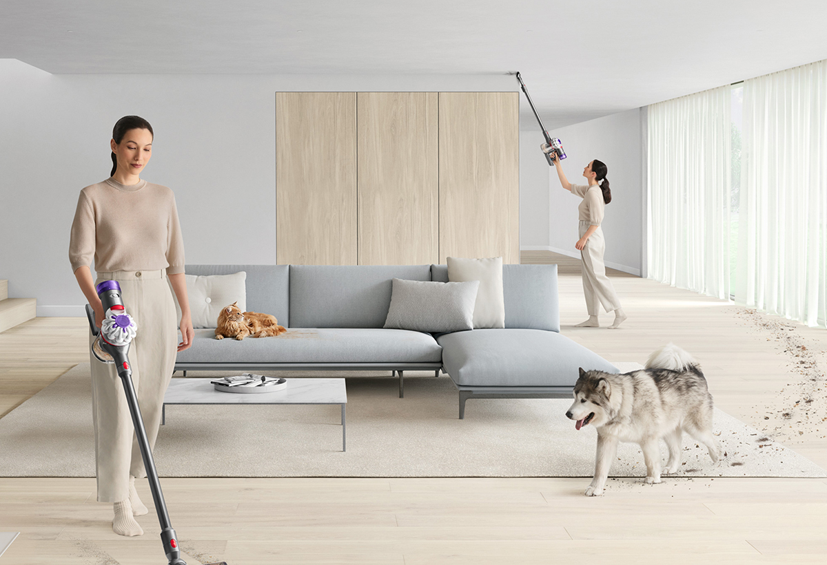 Απεικονίζεται μια γυναίκα να καθαρίζει στο σαλόνι με έναν σκύλο και μια γάτα να φαίνονται.